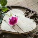 사간의향기 이미지