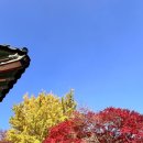 목장양꼬치 | [양산] 양산여행 성림목장, 훈춘양꼬치