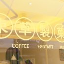 마카오박 이미지