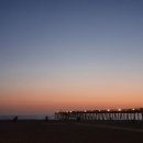 스타비치 이미지