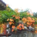 LG슈퍼(마트) 이미지