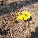 터골농원 이미지