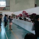 호암체육관 체육관 이미지