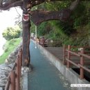 (구)김화교 네이버블로그