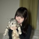 와코