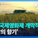 2022 BIFF 부산국제영화제 개막&폐막 영화 소개 이미지