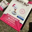 성보헬스 네이버블로그