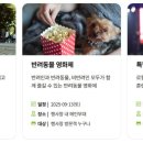 원 반려동물 미용실 이미지