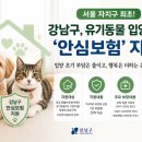강남 문화일보