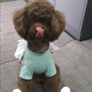 개편하개 이미지