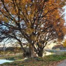 증평정미소 이미지