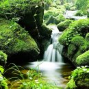 삼우보청기 이미지