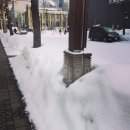 김정남초밥 | 오타루 가는 길에 만난 바다가 내게 알려준 것.