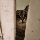 제주공항게스트하우스그린데이 이미지