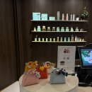 르쏠레이 | 서귀포피부관리 휘닉스제주 르쏠레이 by달팡클럽스파 후기