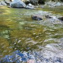 와운골가든 이미지