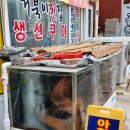 월소정34 이미지