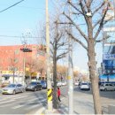 하이마트석남점 건너편 네이버블로그