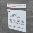 트리드 | 가평 트리드 펜션 내돈내산 후기｜실내 바베큐 가능한 조용한 숙소