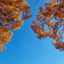 스포츠파크 육상경기장(축구장) 이미지