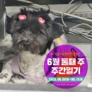 쌍교공업사 | 2025년 6월 둘째 주 주간일기