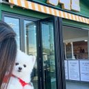 멍아일랜드 이미지