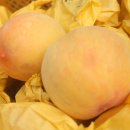 이시돌쉼터 이미지