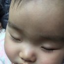 상남동225 이미지