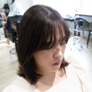 강남 헤어