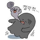 토리아에즈춘천
