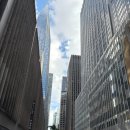 피카소 동물병원 | 40년지기 친구와의 꿈같은 New York 아트 세미나 23편. 5일차 MOMA(뉴욕현대미술관)1편