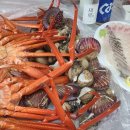 [대구. 매천시장] 매천시장 수율 좋은 홍게 맛집 중앙수산 6번 / 모듬회 동남수산