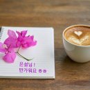 은빛장식 - 부천시 소사구 심곡로 24 | 은빛장식