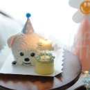 댕댕파티 | 강아지 케이크 생일파티 청주 댕댕상점
