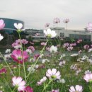 신당종합사회복지관 이미지