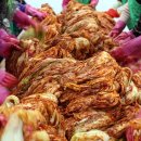 좌4동-11 이미지