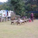 솔향기길 나오리공방 이미지