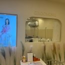 강아지미용실 이미지