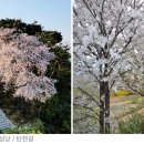 황새울4길 이미지