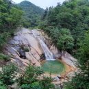 죽마고우 - 세종특별자치시 | 죽마고우