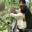 곡성-140 이미지