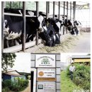 을축목장 이미지