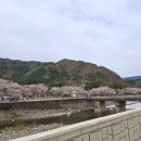 삼척엘림캠핑장 이미지