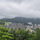안개비 | 장군봉과 둘레길 산행후기