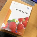 잠뱅이딸기농장 | 2022년 1기 잠뱅이농장 WPL 딸기 현장실습 후기｜01/28~02/12 (5일 교육)