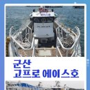 군산 {{낚시사냥꾼}}목.금.토,일 문어,,,야간 오징어~~~출조 이벤트 합니다.... 8일 6자리여유.. 이미지