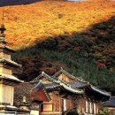 표충사 - 1903 | 표충사