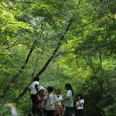 창촌중학교 이미지