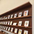 리틀오스 이미지