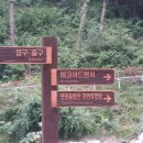 흥림산자연휴양림 이미지